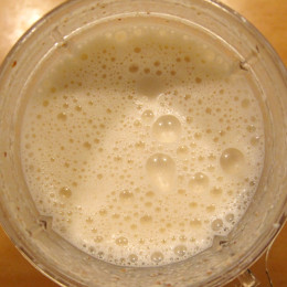 Die Mandelmilch, Hefeflocken, Knoblauchzehen, Salz und Pfeffer in einen kleinen Mixer (Personal Blender) geben und durchmixen.